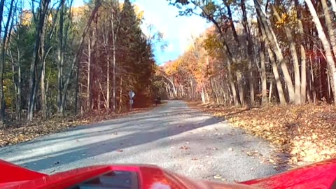 Devil's Delight Road