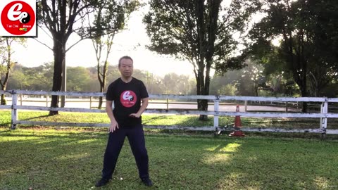 004 Pound Palm with Fist.mp4