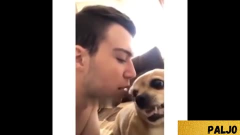 Cutest Animal Moments Caught on Camera!