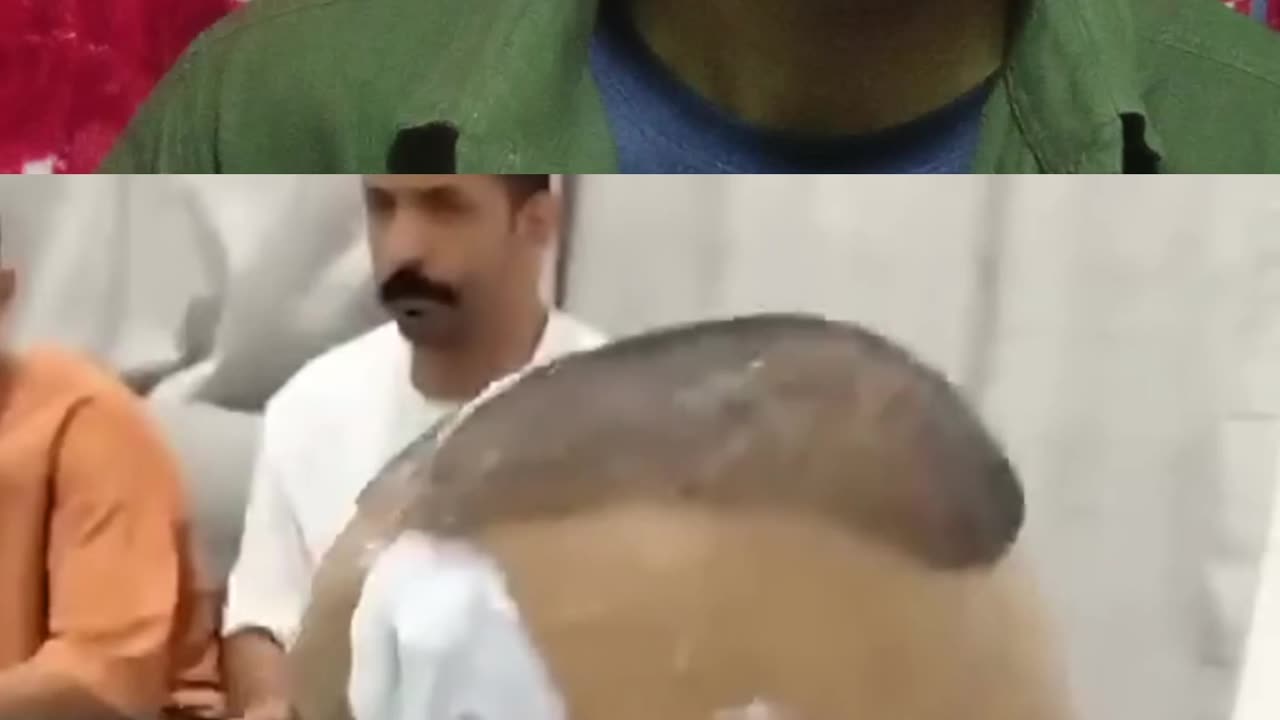 Try not to laugh