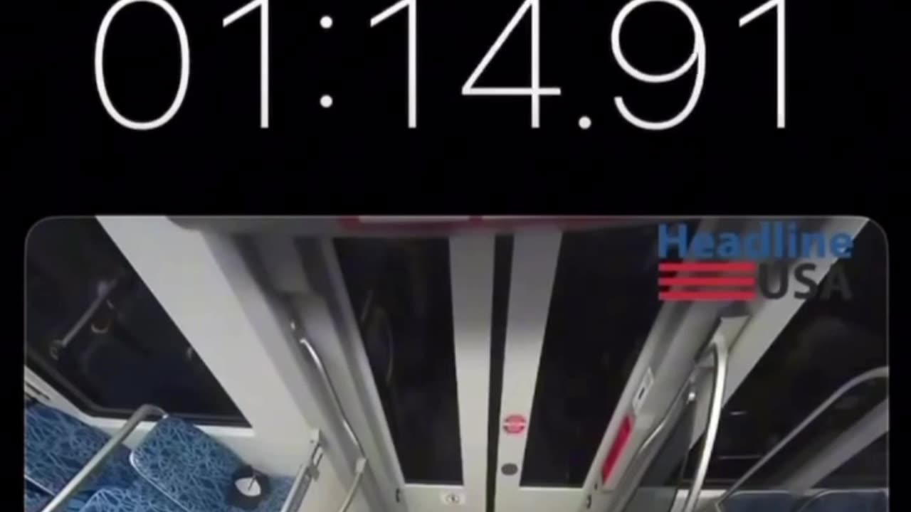 How much time did it take to save Irina Zarutskaya?