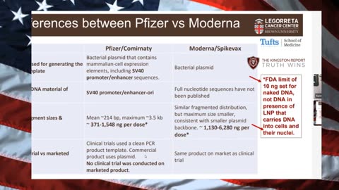 Кингстон-официально заявлено, что вакцина CV19 небезопасна, Неэффективна - Карен Кингстон