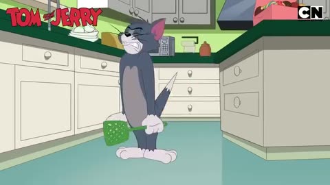 Tom and jarry funny vidieo song