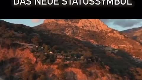 Dummheit ist das neue Statussymbol