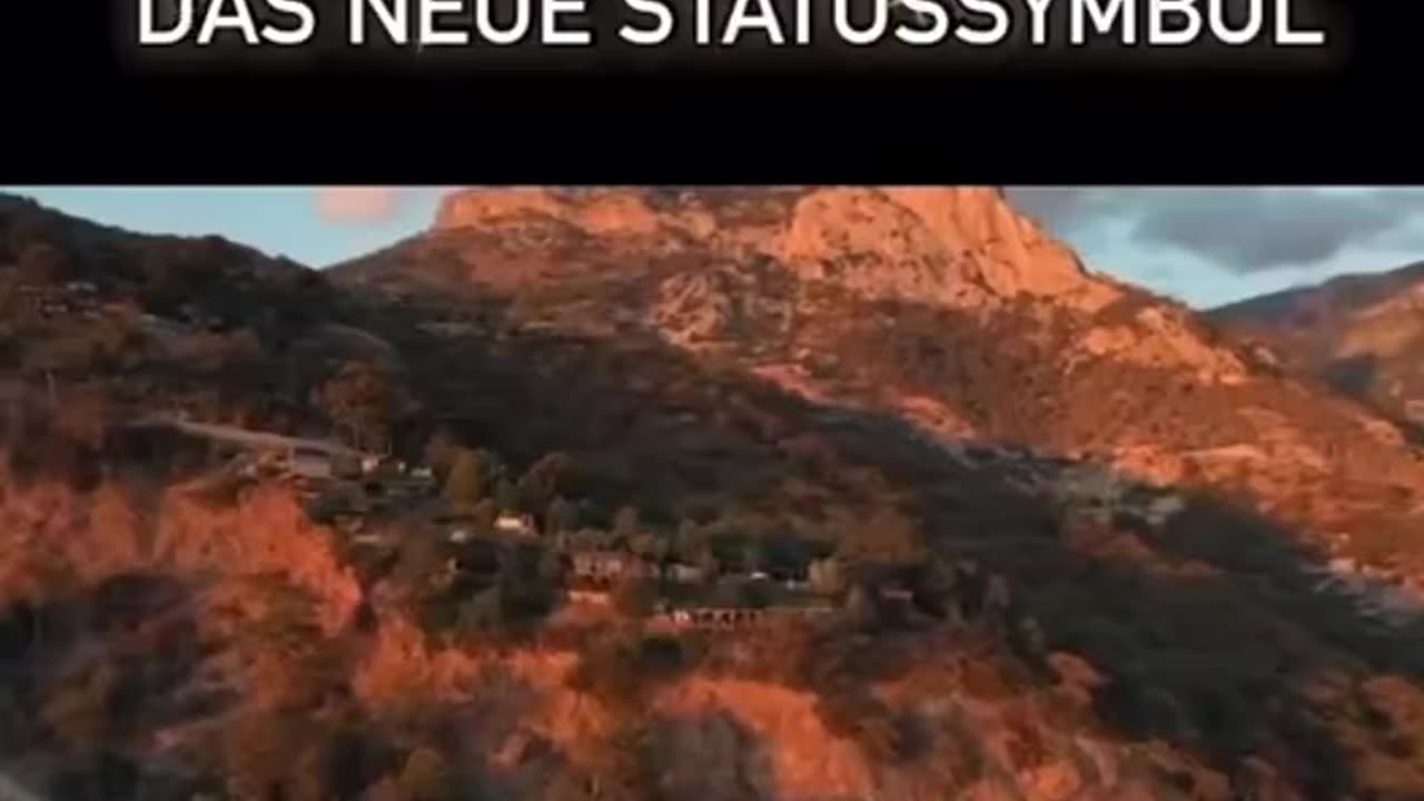 Dummheit ist das neue Statussymbol