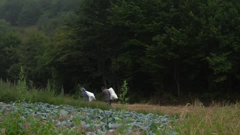 Garden Fresh to Winter Ready- Preserving Seasonal Vegetables
