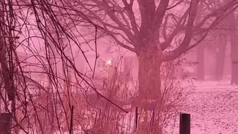 Pink snow hits Iowa (Yes, you read that correctly)