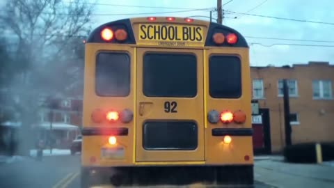 Why are School Buses Painted Deep Yellow and Black_ _ The Science and History Explained _