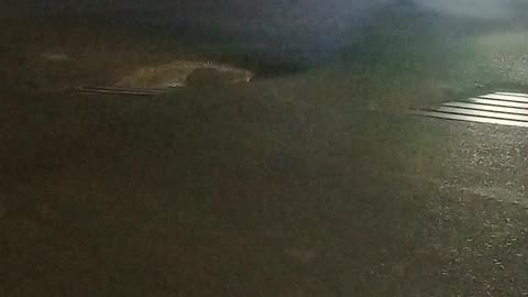 potholes in the road