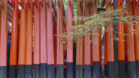 Fushimi Inari