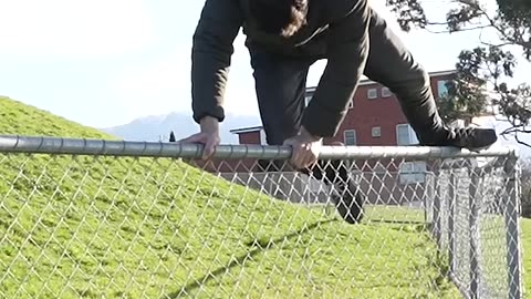 How Animals Get Over a Fence (With Emojis) 😂