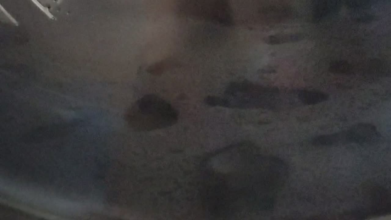 A Rouge Samsung Washing Machine Self Cleaning Part 1A