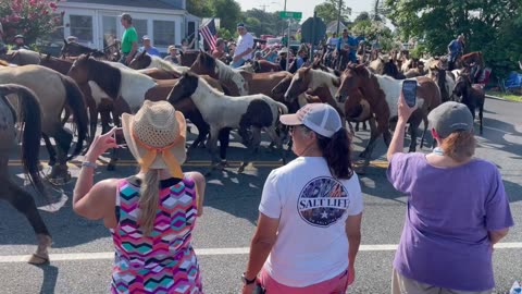 100th Anniversary Chincoteague Pony Parade