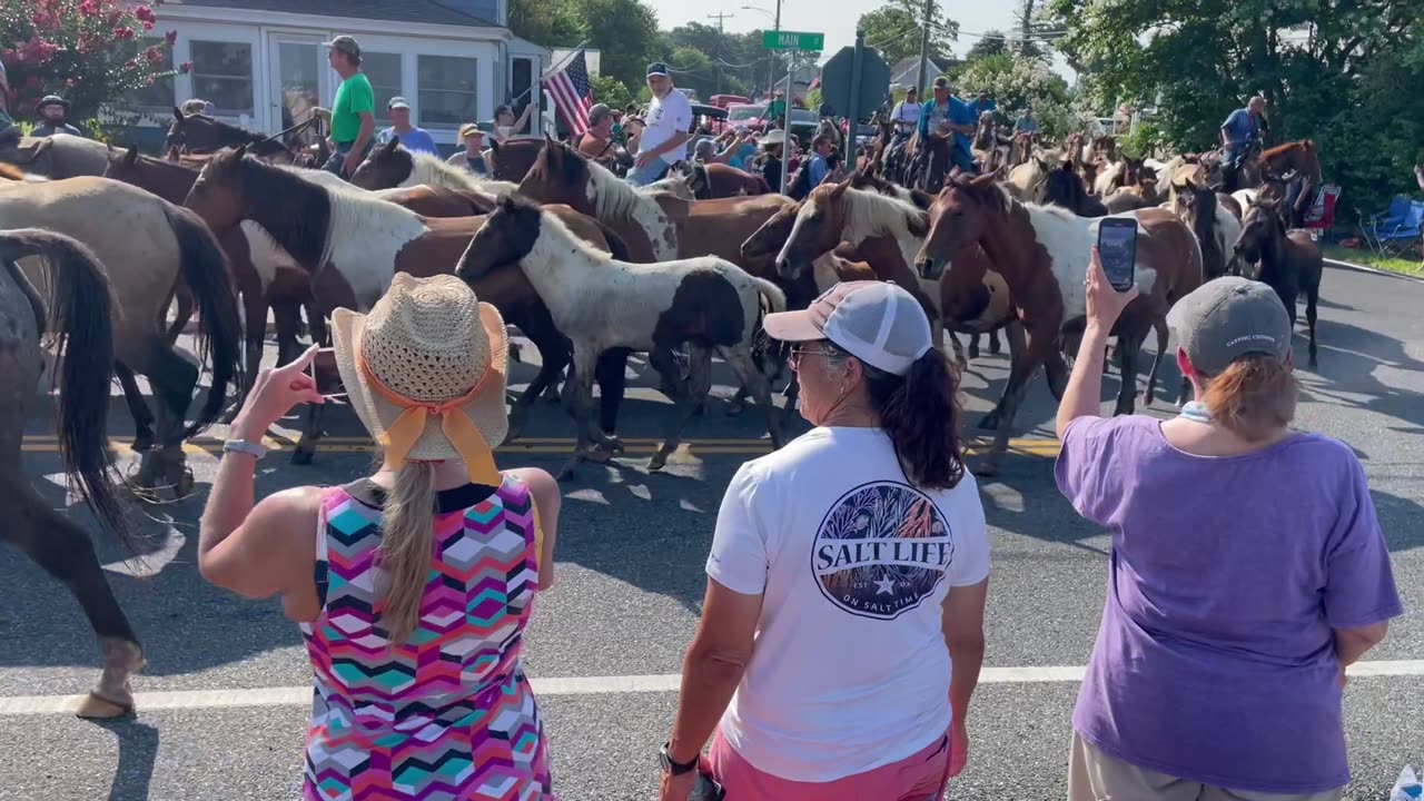 100th Anniversary Chincoteague Pony Parade