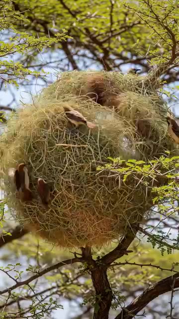 A Virtual Tour of the oldest and biggest Zoo of Pakistan "Lahore Zoo"