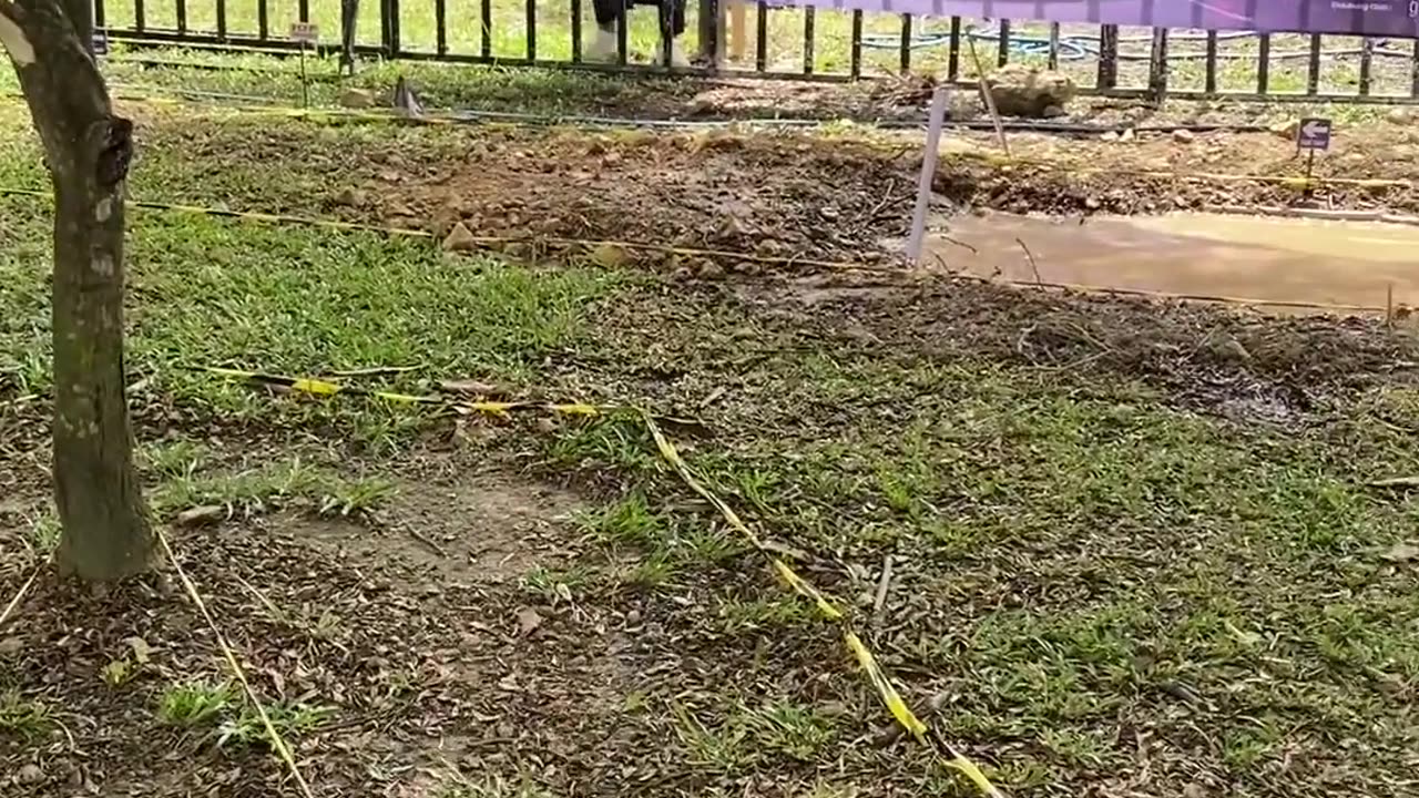 RC Truck Obstacle Course