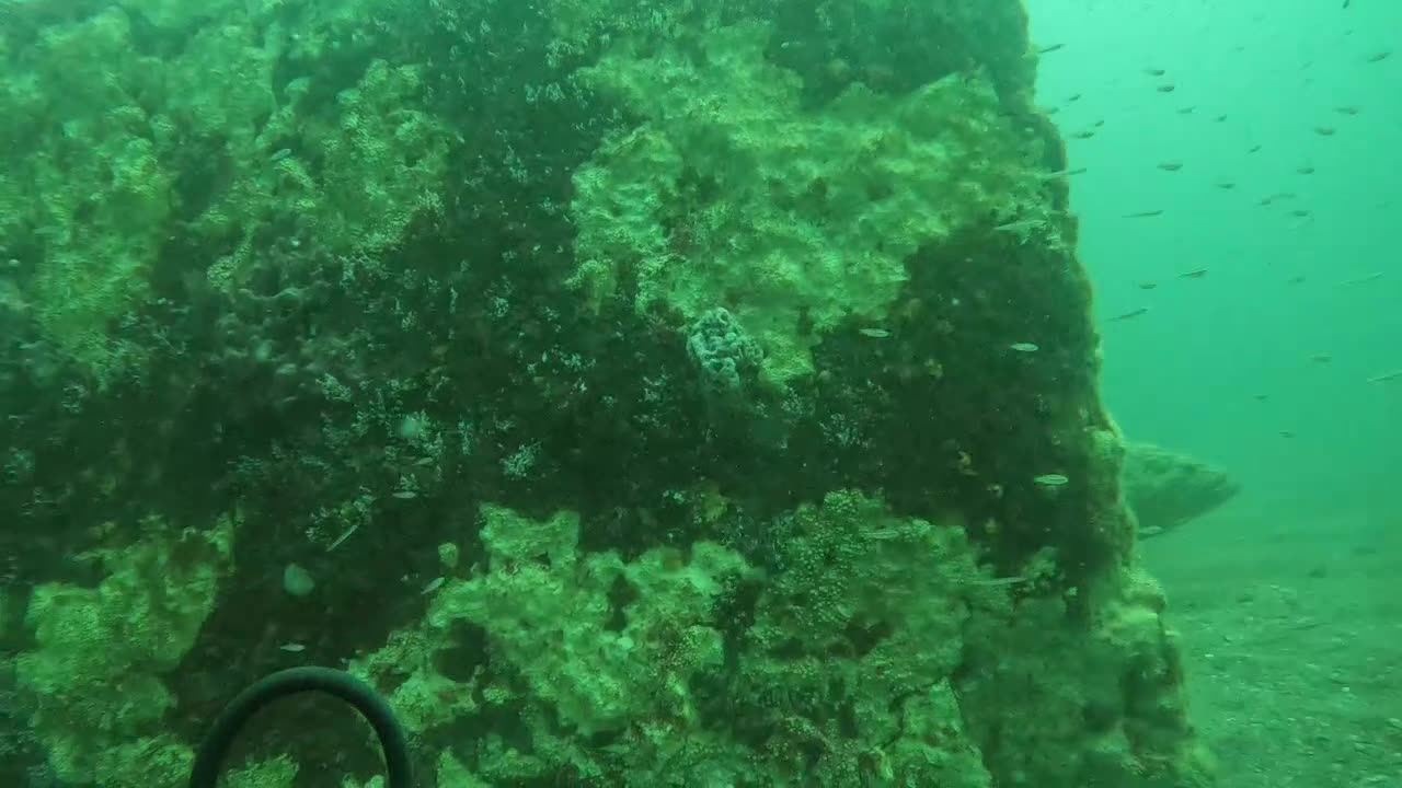 5.21.25 Scuba Diving St. Augustine FL Little Barge Culverts