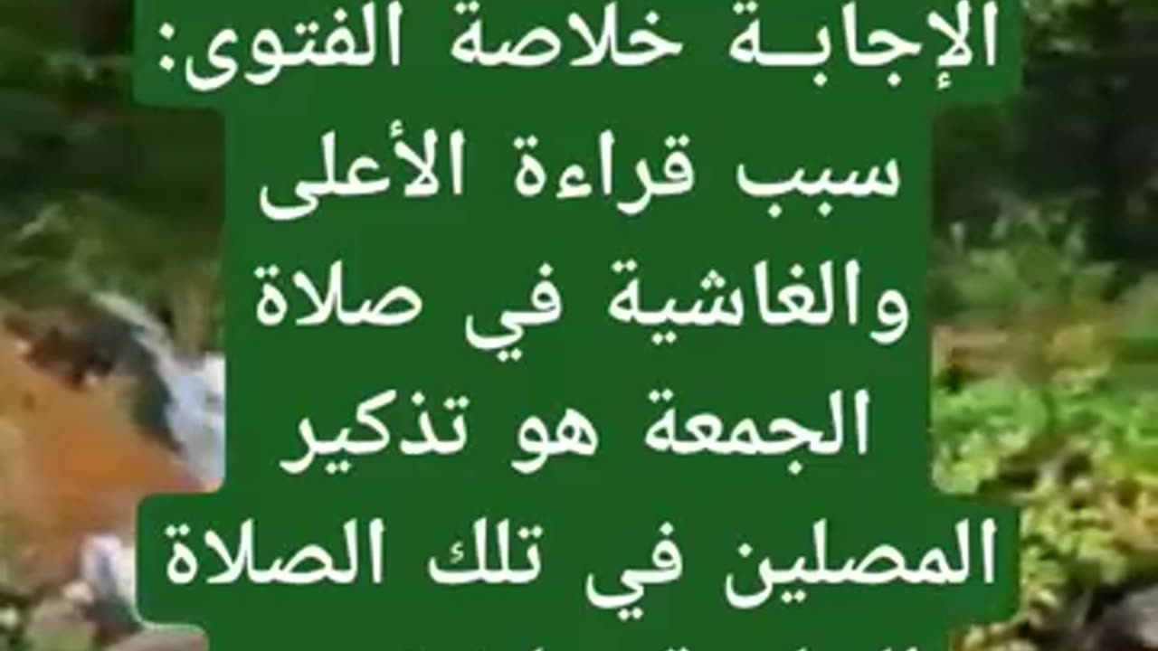 ما هم السورتان التي يستحب قراءتهما في الجمعه ويوم العيدين؟