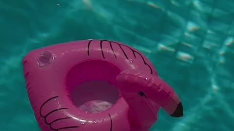 Relaxing Pool Ambience | Soothing Water Sounds for Stress Relief