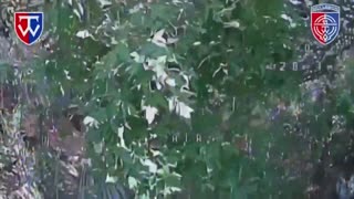 🛸🎯 Ukraine Russia War | Fiber-Optic Drone Destroys Russian Shelter in Belgorod | RCF