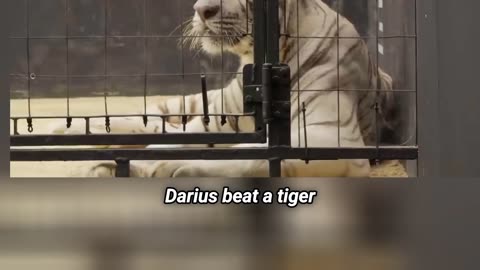 You Won't Believe Darius' CRAZY Vertical Jump! New Record Set!