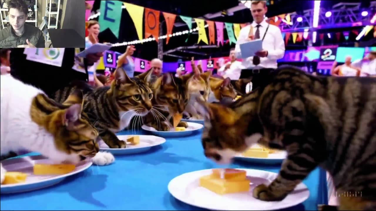 Outtake #1,176 Of The Cats Attempt The Vegan Cheese Eating Contest Fake Funny Parody Video
