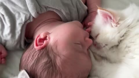 Heartwarming Moment: Cat and Baby Share Pure Love 🐾👶❤️