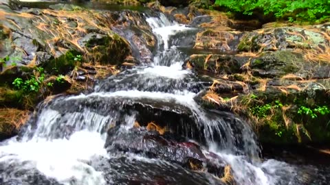 Cascade