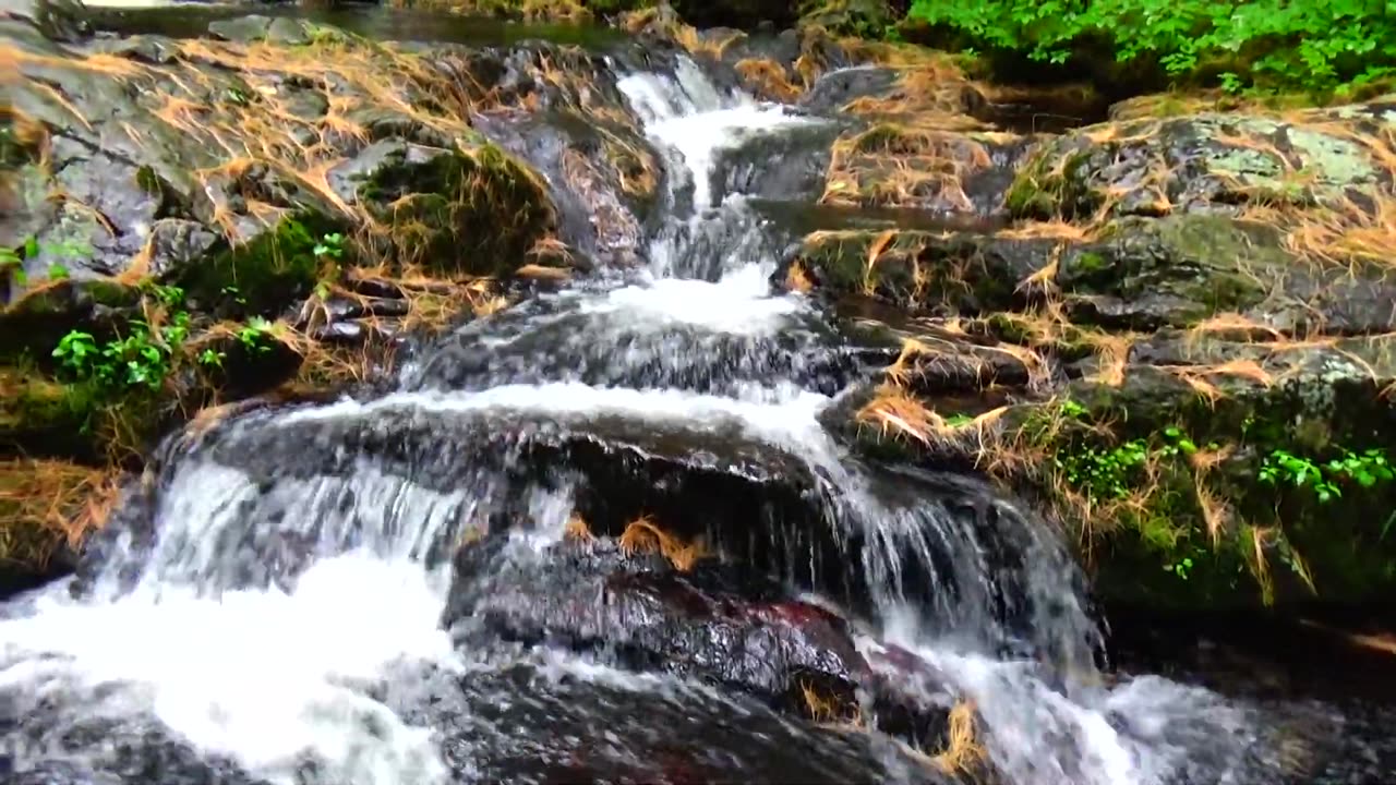 Cascade