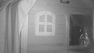 EA S174 - Wind Doesn't Bother Me