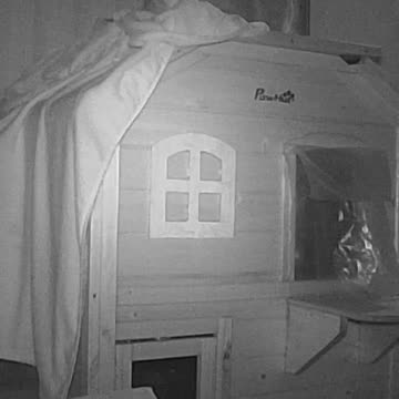 EA S174 - Wind Doesn't Bother Me