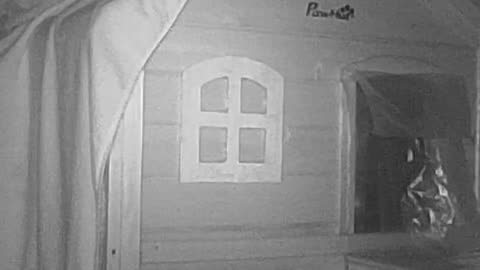 EA S174 - Wind Doesn't Bother Me