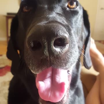 Riley, the Beautiful