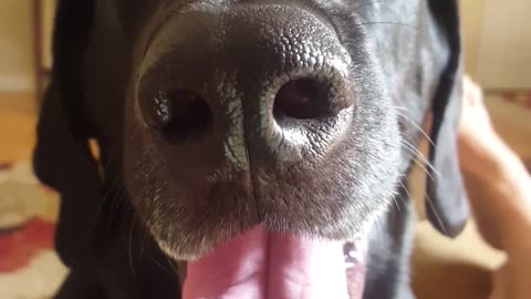 Riley, the Beautiful