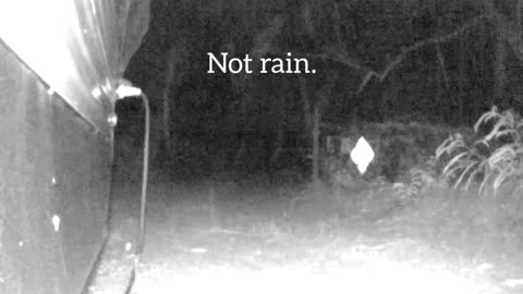 Some things weren't meant to be seen. Let's check em out now.