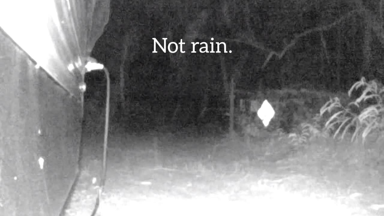 Some things weren't meant to be seen. Let's check em out now.