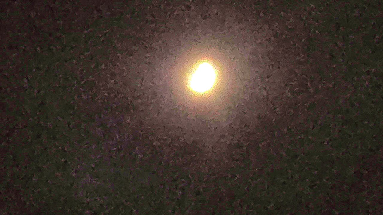 The Light