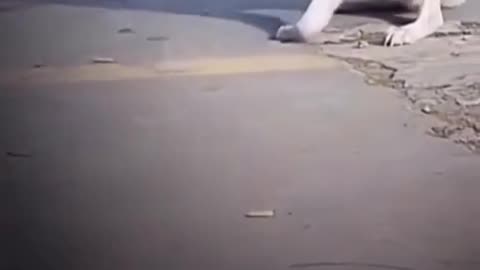 Helpless