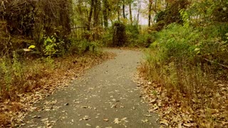 Infinium Out And About: "Ignore The Subliminal Zingers!" REDPILL/REDPILLTRUTHS/MGTOW/MGTOWTRUTHS