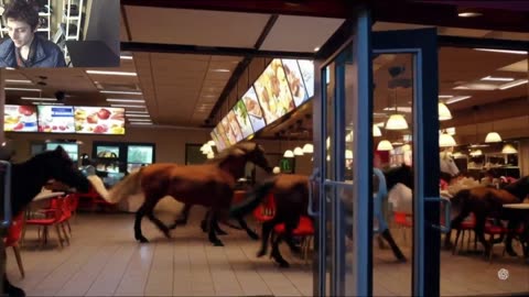 Over 10 Horses Roam Around A McDonald's Restaurant Fake Funny Parody Video