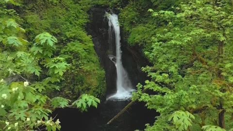 Beautiful World - Beautiful places in the World #shorts #shortsvideo #NaturalVideos #naturelover