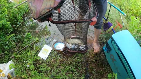 Fische am Haken Flussangeln #Flussfischen #Angelspaß #Outdoor