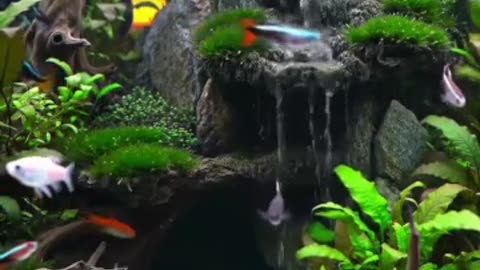 Aquascape Live: Nature’s Harmony in Glass