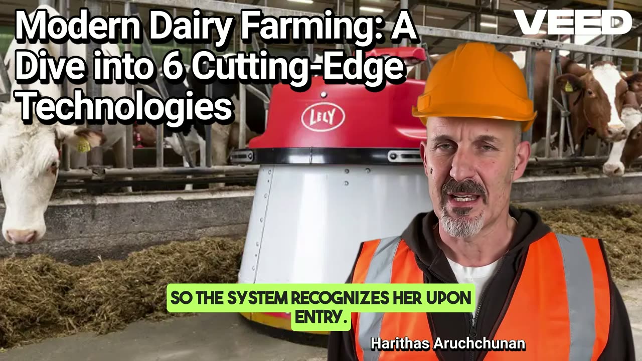Modern Dairy Farming:A Dive into 6 Cutting -Edge Identification Technologies for Dairy Cows