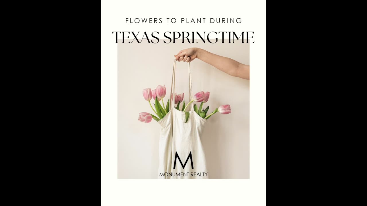 Flowers to Plant in Texas Springtime Realtor approved