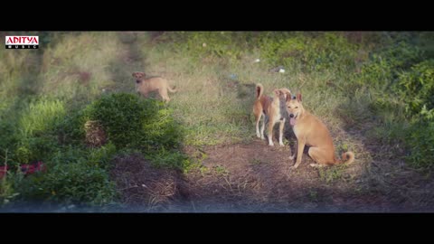 Katha Katha (Hindi) Full Video Song | Kuberaa | Dhanush, Nagarjuna, Rashmika | DSP | Sekhar Kammula