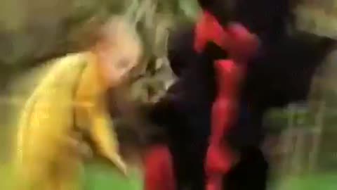 dragon baby lutando kung fu.mp4