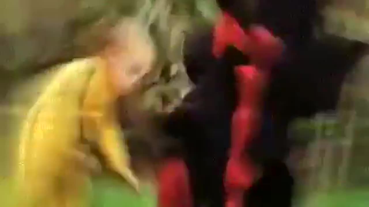 dragon baby lutando kung fu.mp4