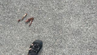 Pseudo Photo Mistakes of My Feet