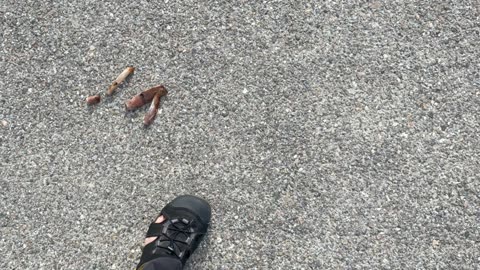 Pseudo Photo Mistakes of My Feet